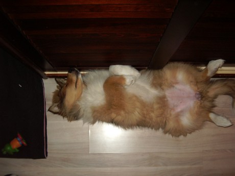 Tady je někdo moooc unaven...