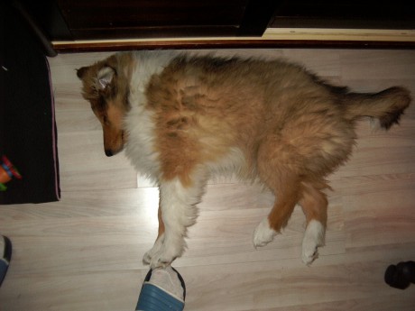 Spi Dájinko spi, zavři očka svý...