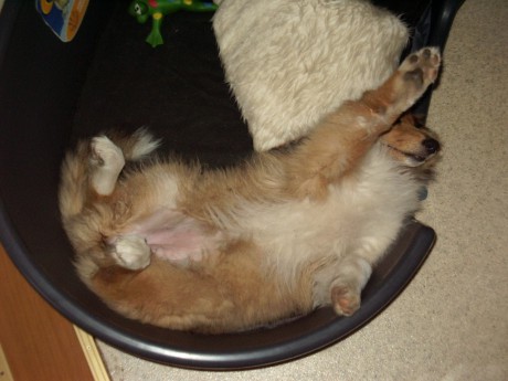 Tak takhle spinkám...