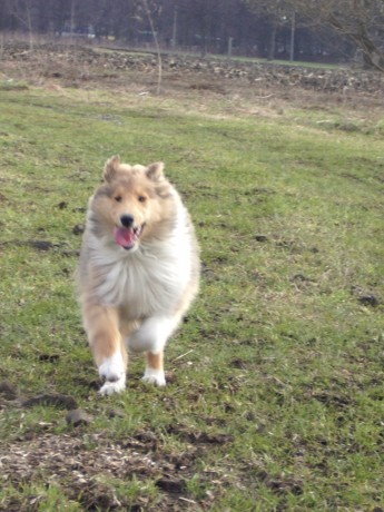 Pozóóóóóóóór běžím!!!!